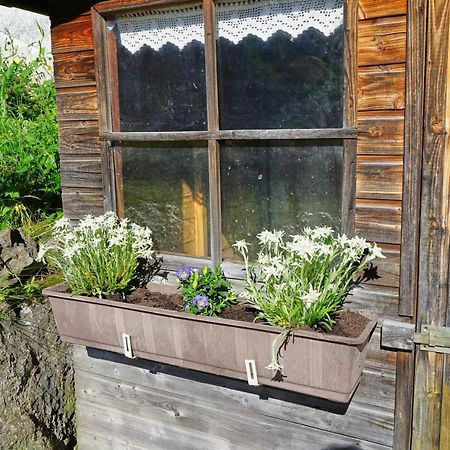 Ferienwohnungen Kappeler Бад-Гінделанг Екстер'єр фото